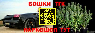 сатива Беслан
