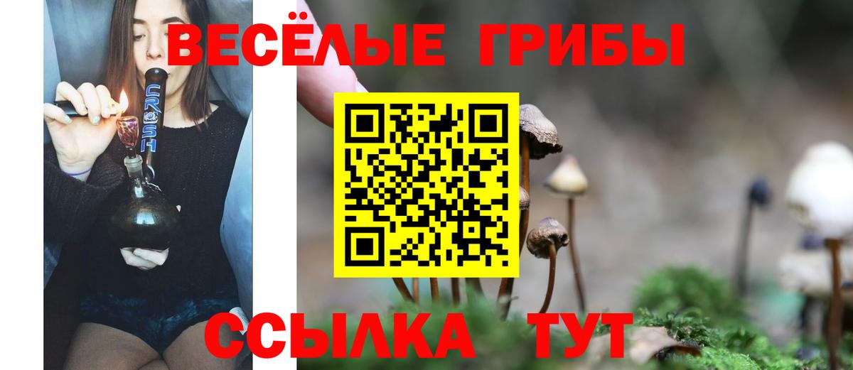 Кириши  Псилоцибиновые грибы прущие грибы  Вход с VPN 